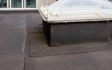 disadvantages of Hand Green flat roofs